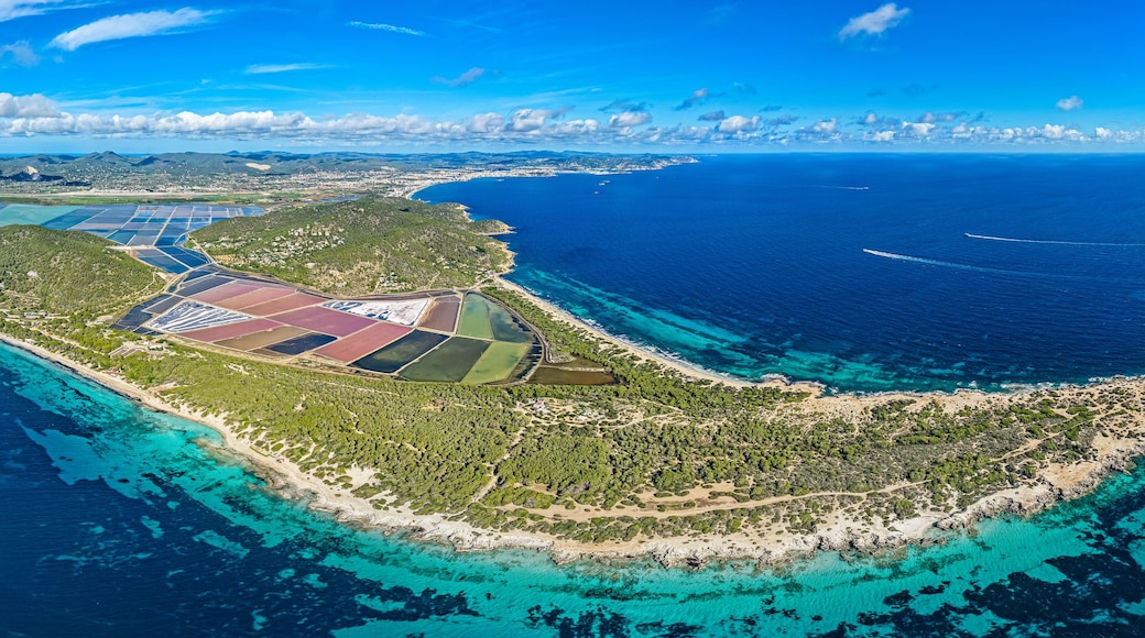 Een luchtbeeld van een kustgebied met een schiereiland, helderblauw water en een verre stadslijn.