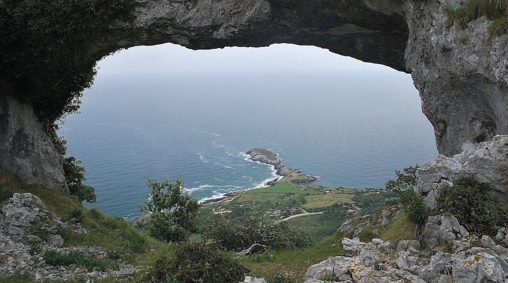 Cabo Cebollero desde lo alto.