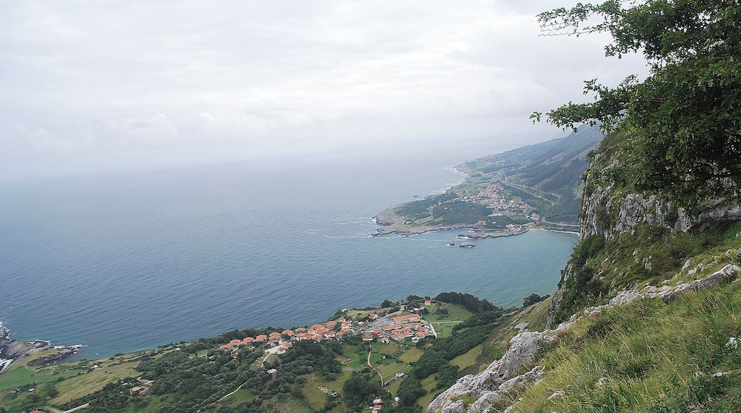 Sonabia desde lo alto