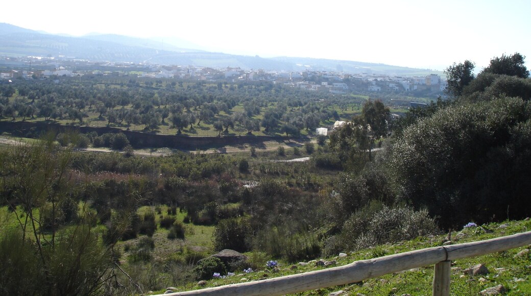 Vista de Puerto Serrano desde la Vía Verde