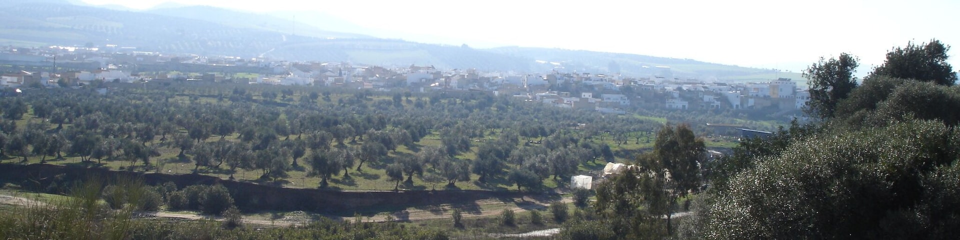 Vista de Puerto Serrano desde la Vía Verde