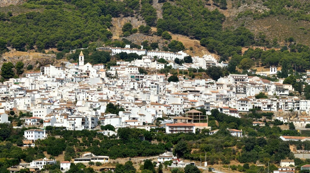 كاسارابونيلا