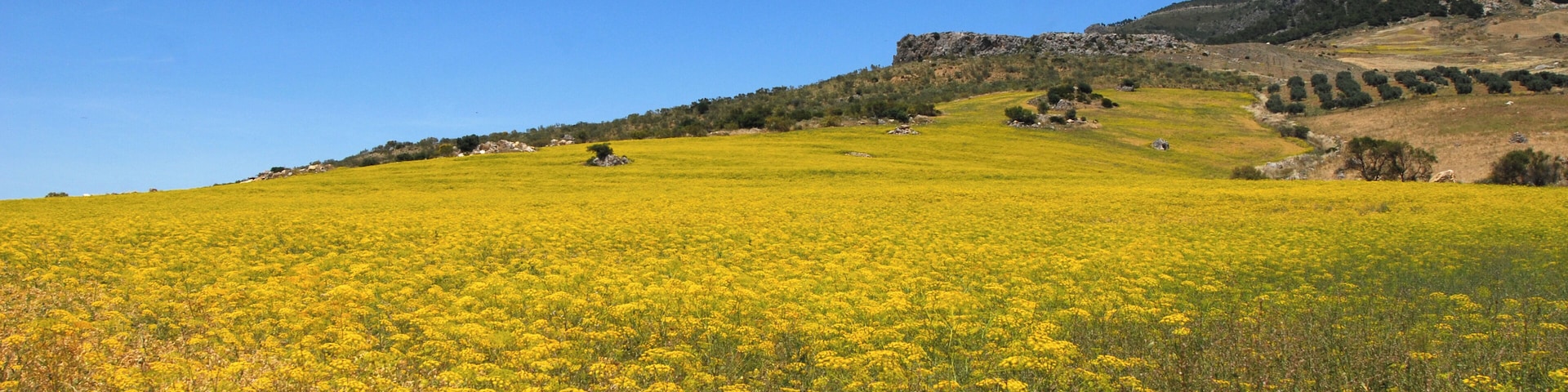 Parque Natural Sierra de las Nieves