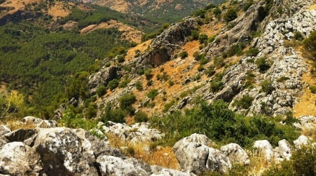 Mirador del Guarda Forestal