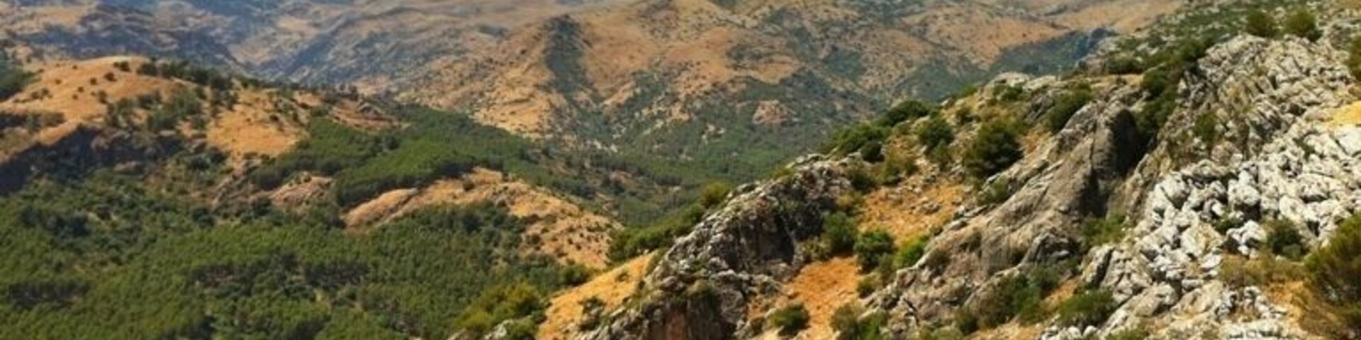 Mirador del Guarda Forestal