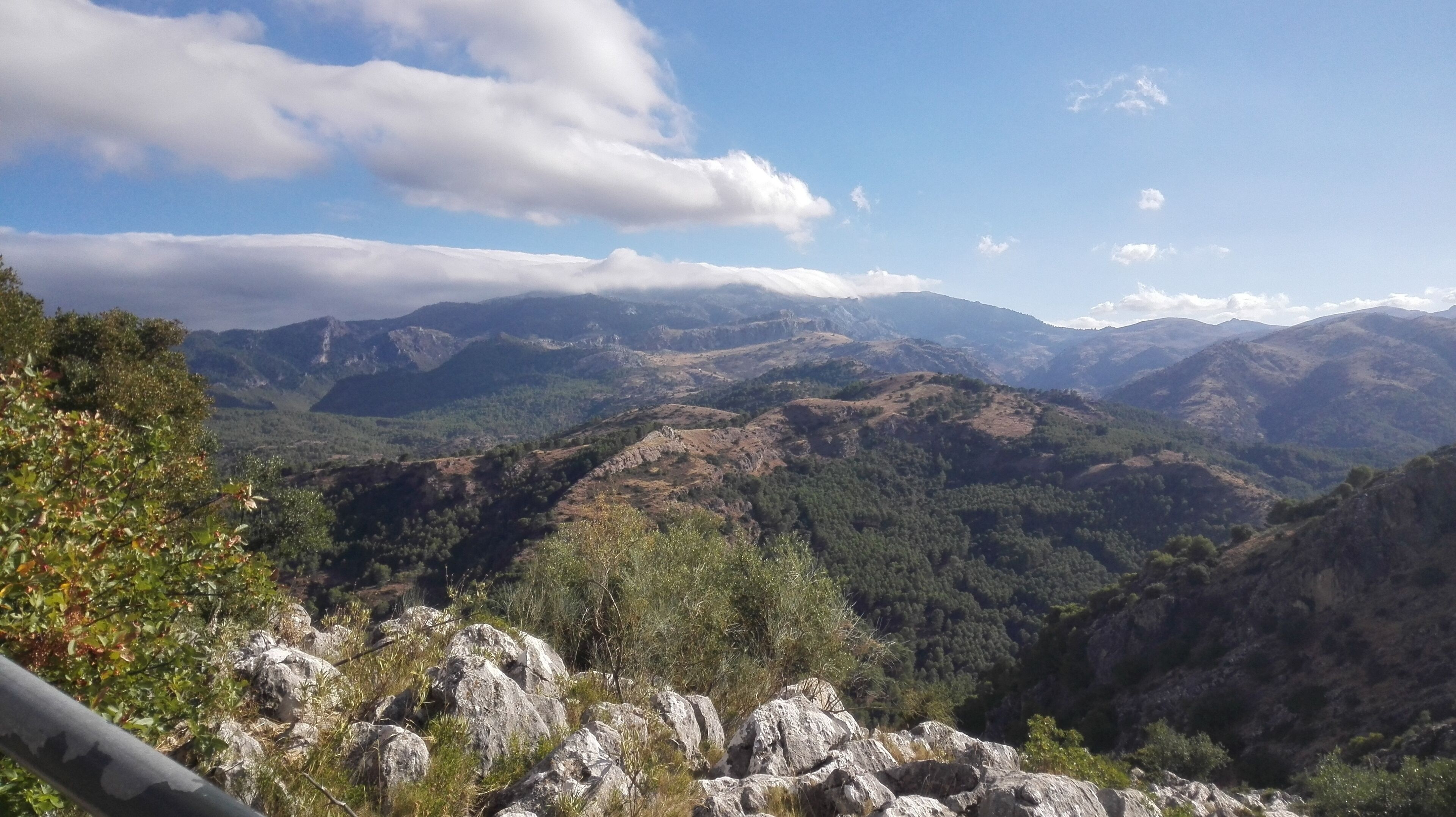 Serranía de Ronda (Málaga).