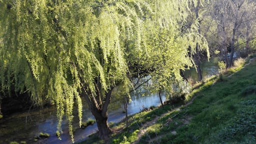 El Burgo. Serranía de Ronda (Málaga).