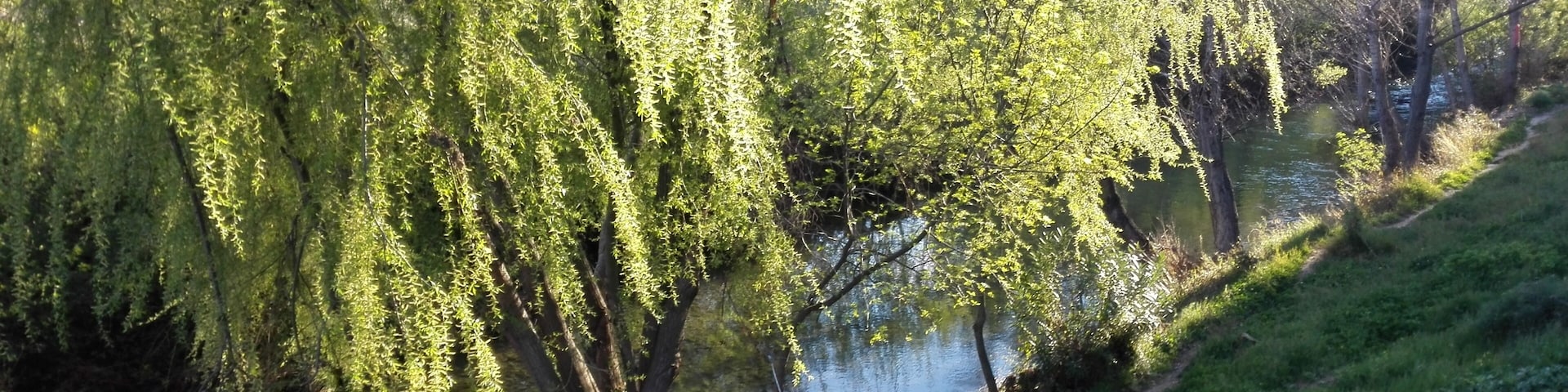El Burgo. Serranía de Ronda (Málaga).