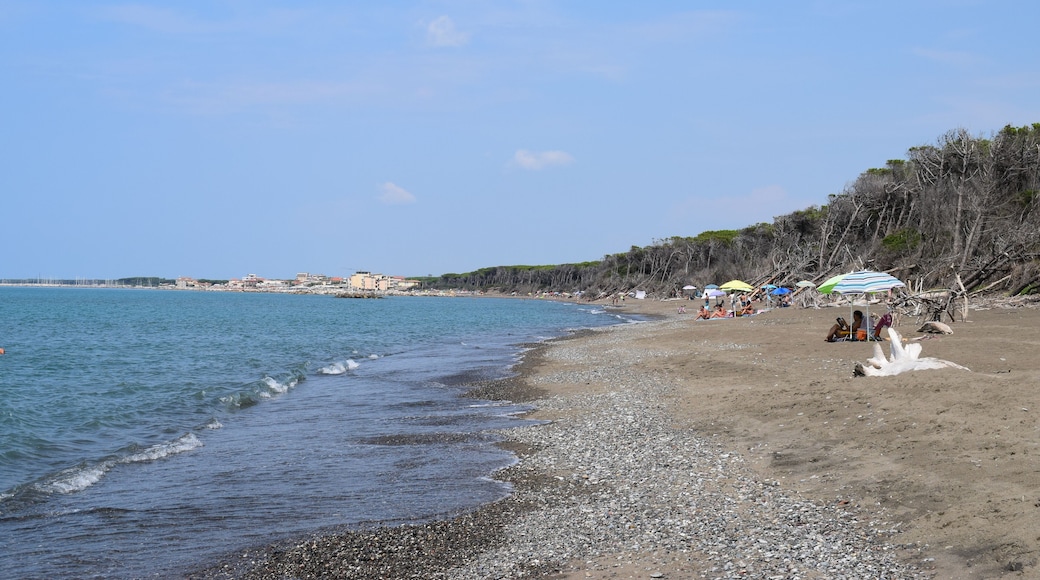 Beach and sea of Marina di Cecina, Maremma, Tuscany, Italy, Europe
