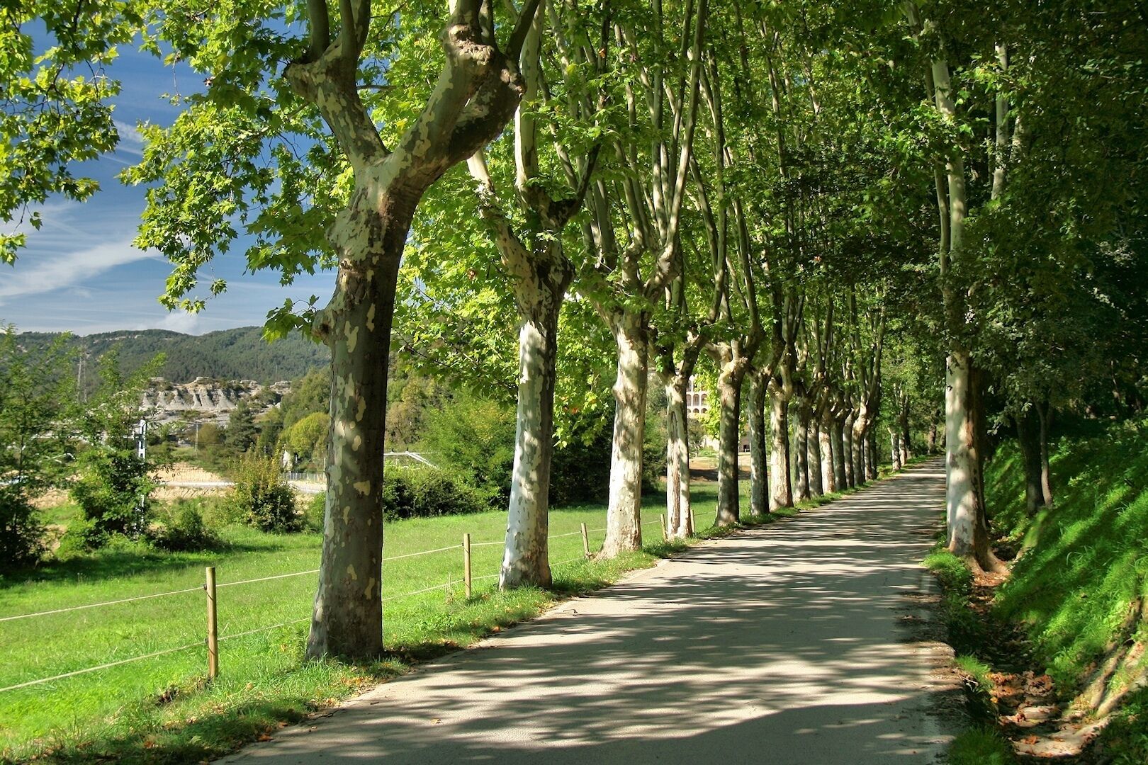 Camí al Castell de Montesquiu