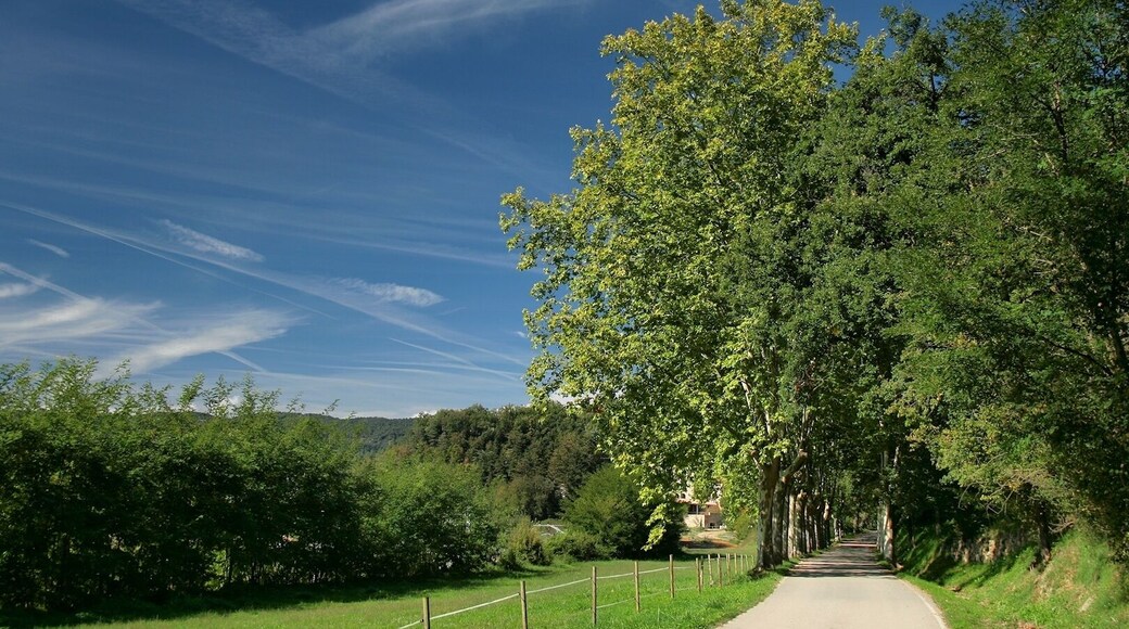 Sant Quirze de Besora (Osona, Barcelona)