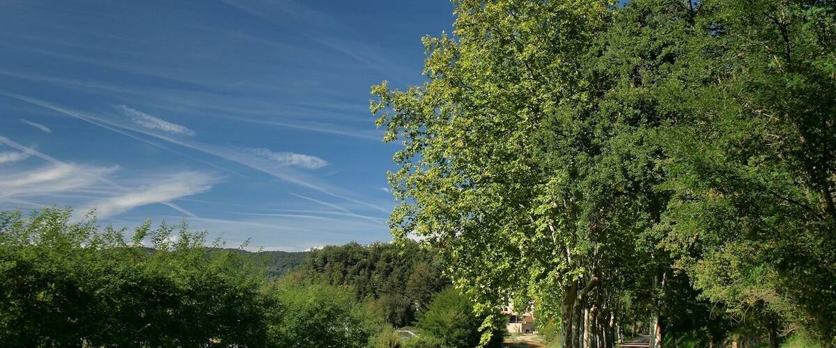 A rural road flanked by lush greenery and a clear blue sky.