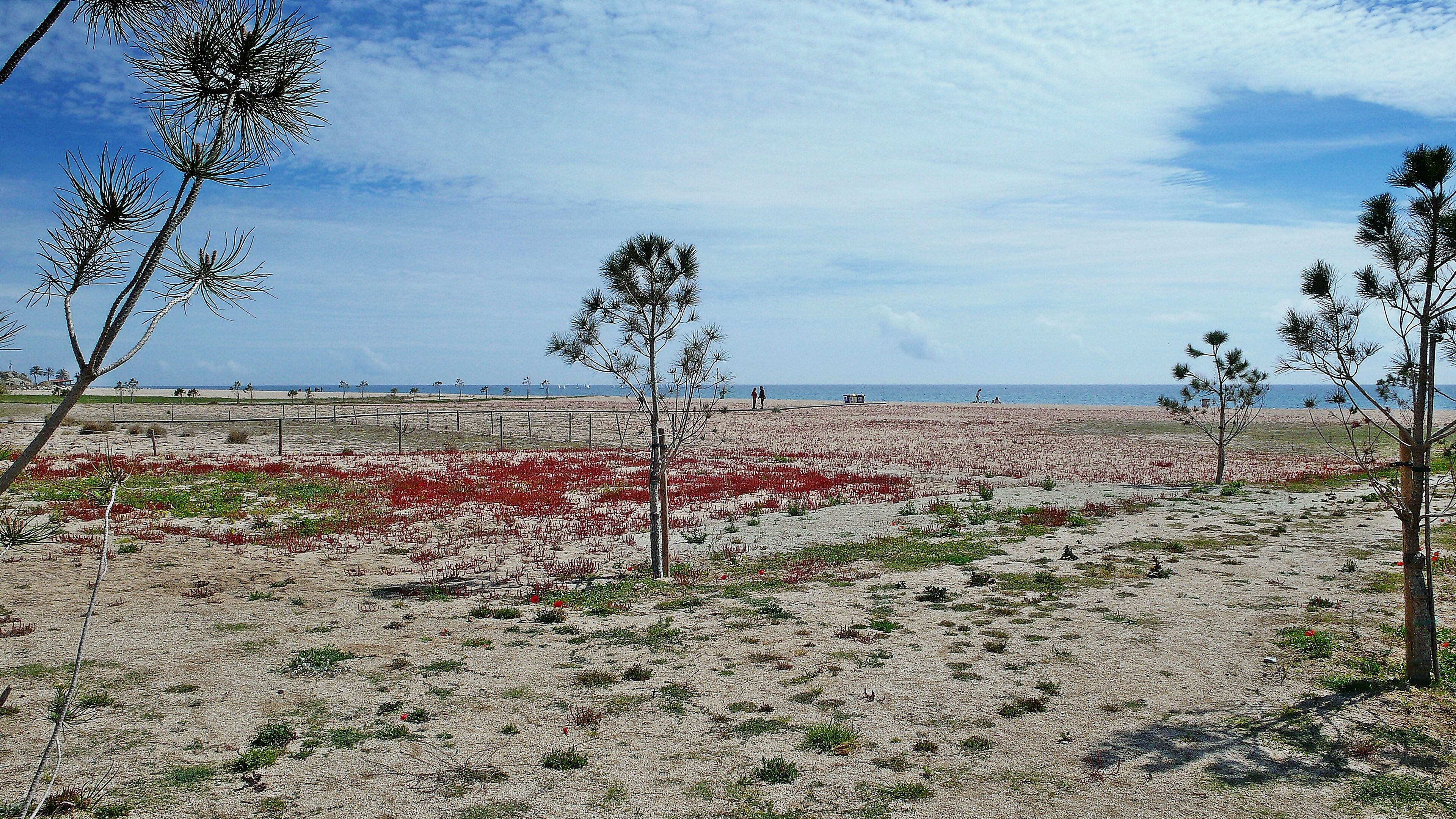 Playa del Cavalló-Arenys de Mar