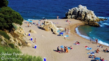 A beach with people sunbathing, umbrellas, and rocky formations.