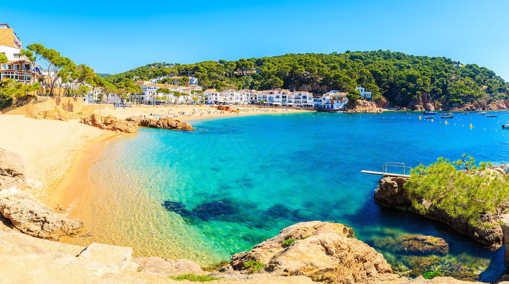 Panorama of amazing beach in Tamariu fishing village, Costa Brava, Spain