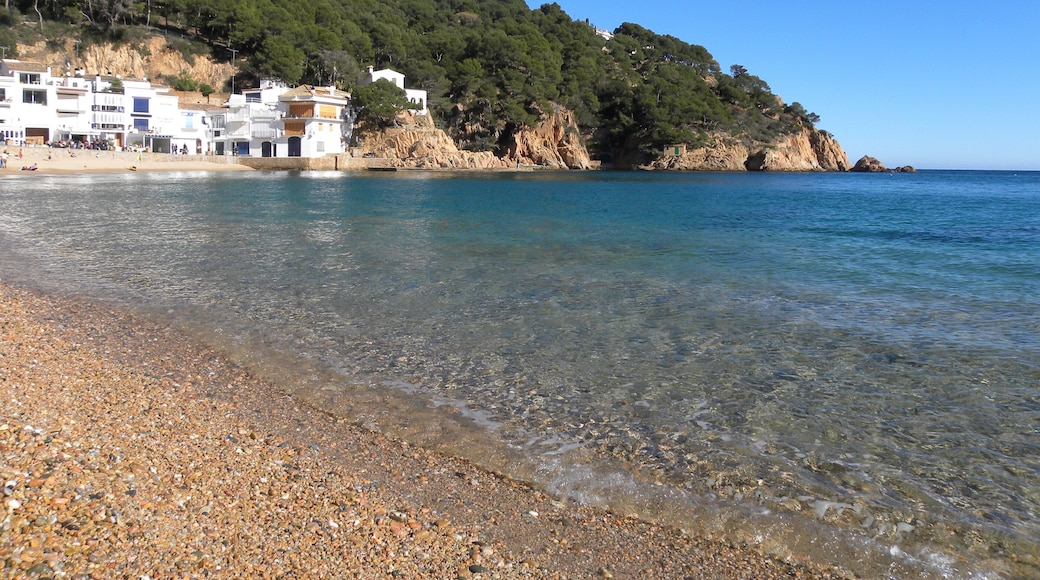 17212 Tamariu, Girona, Spain