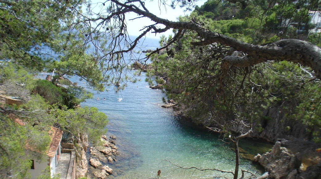 cala aigua-xelida