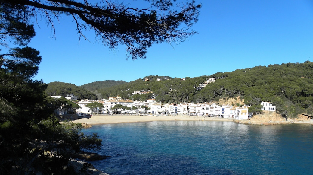 17212 Tamariu, Girona, Spain