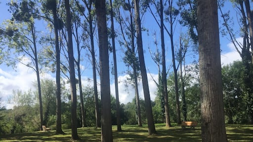 What a surprise for me when I found this place in the middle of nowhere and between wood and river. Perfect for yoga or Qi Gong or for picnic. This hidden place is only accessible by walk or bicycle on the way between Nantes/Rezé (Parc de la Morinière) and Vertou (Écluse). Let's go for discover it and its animals (baby goat, cows, horses, wild birds, etc.). Also accessible by canoeing!