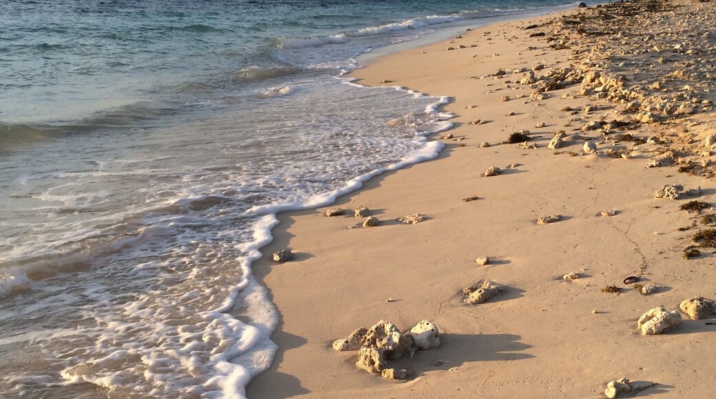 At the end of #goldenhour in #fiji #paradise #beach #beachholiday