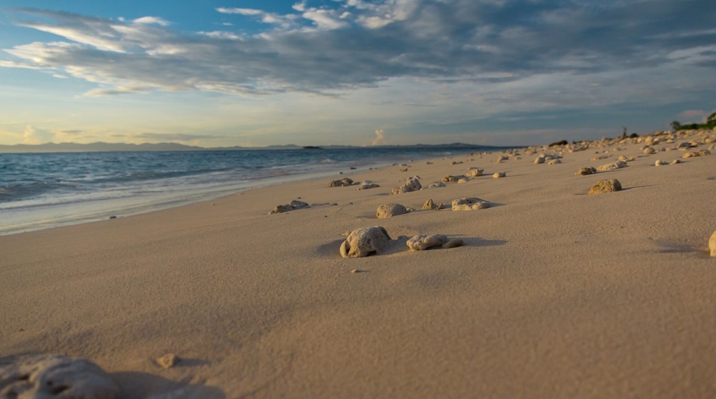 Little stones scattered along the beach like footprints