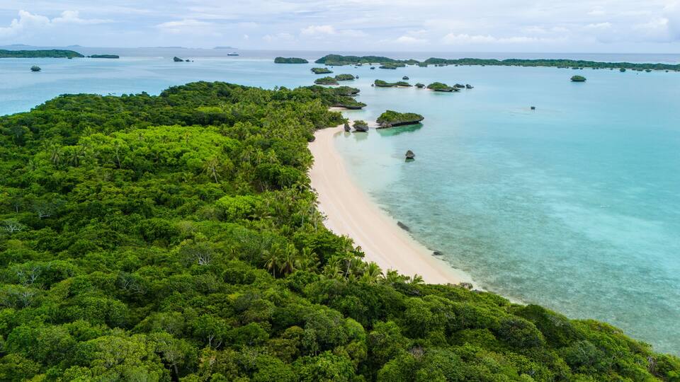 A tropical beach with dense green foliage and clear turquoise waters.