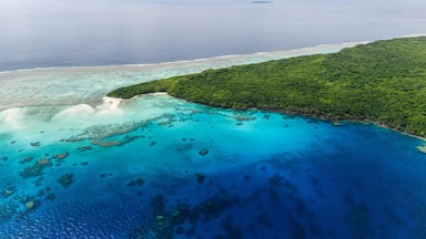 A tropical island with clear turquoise waters, a sandy beach, and dense green vegetation.