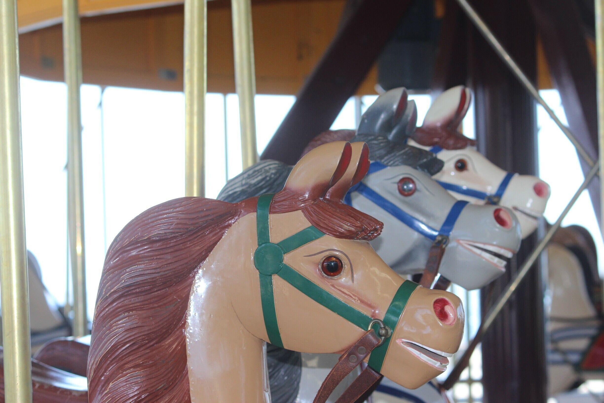 The geelong carousel is a highlight of the waterfront precinct. The custom made pavillion surrounding it will protect your children from the elements #localgem
