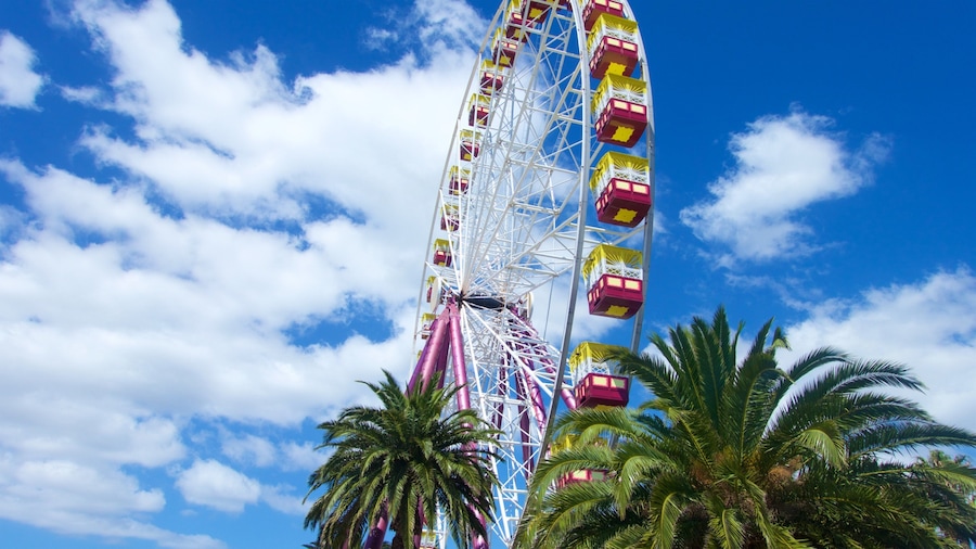 Victoria which includes rides