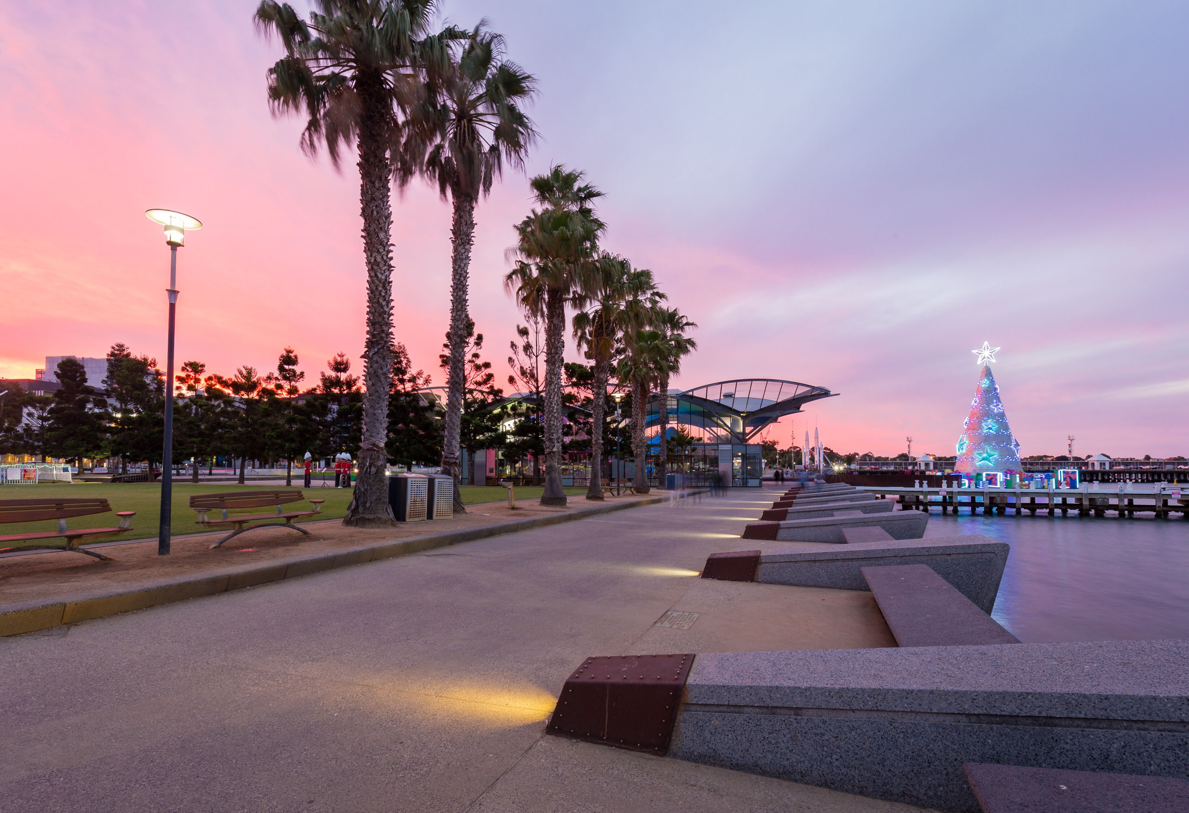 A sunset at a waterfront park with palm trees, benches, a modern bridge, and a lit Christmas tree.