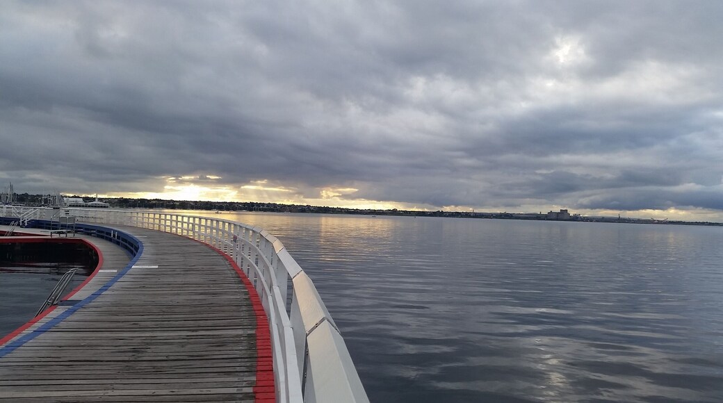 Walkway around the swimming enclosure