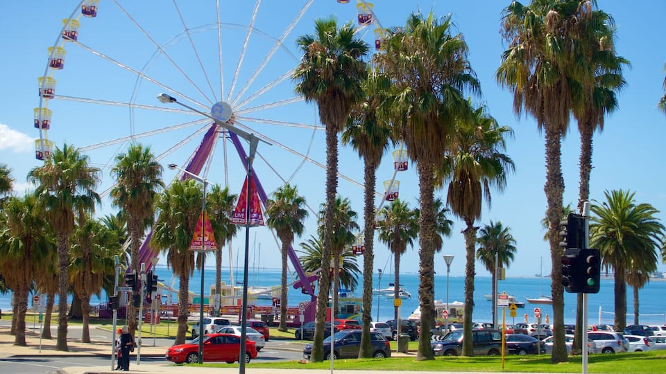 Geelong featuring general coastal views and rides