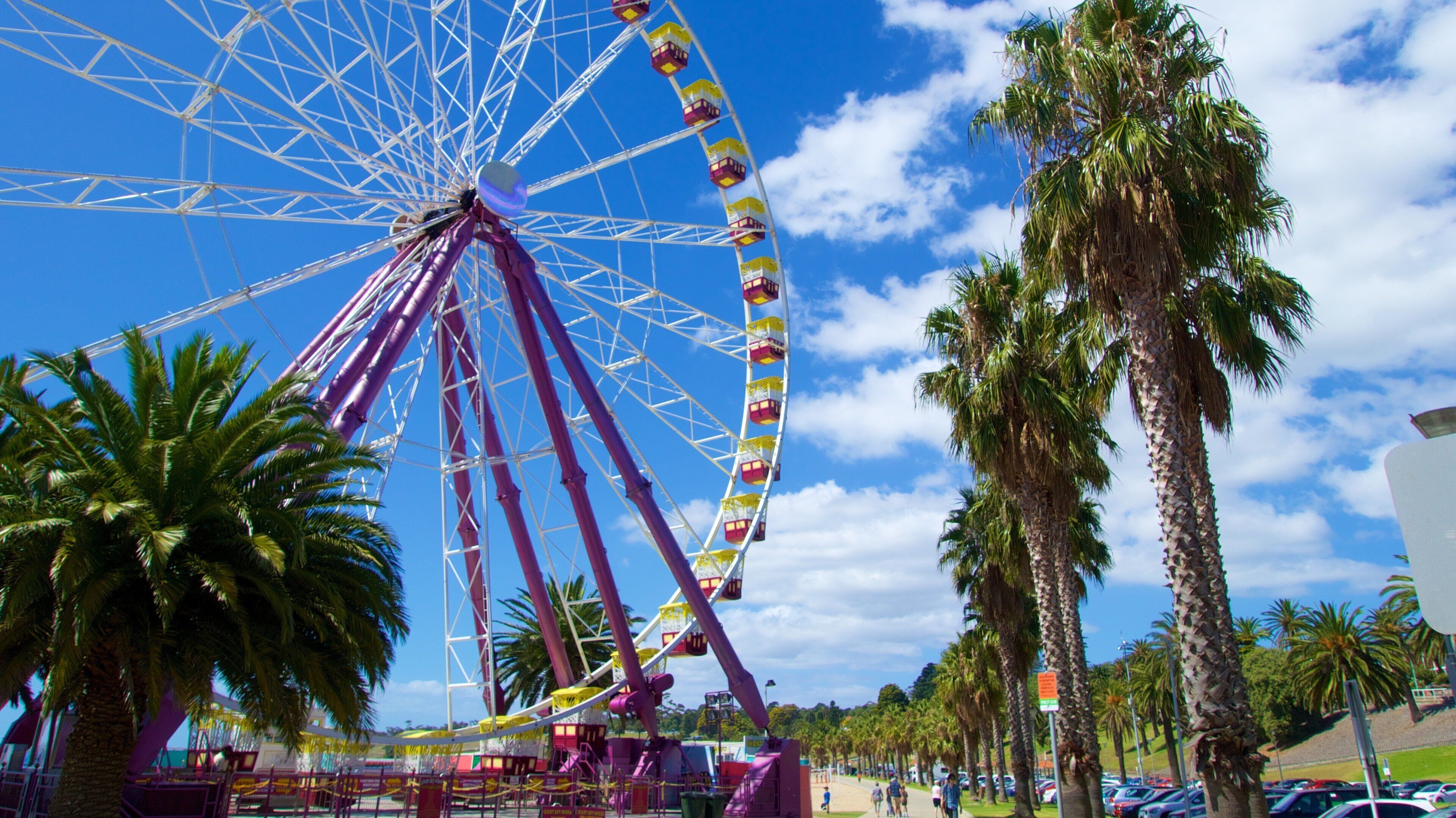 A Ferris wheel, palm trees, and a clear blue sky.
