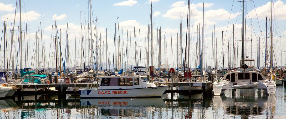 A marina with numerous sailboats docked.