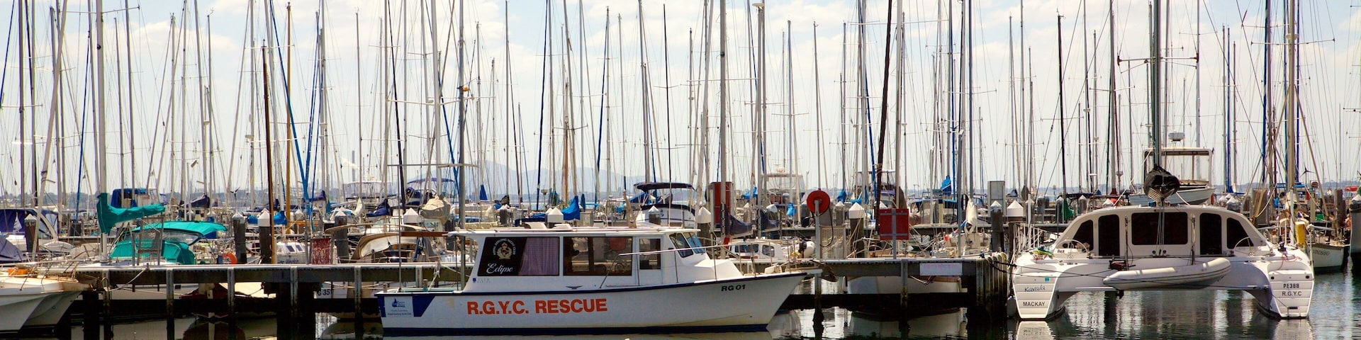 A marina with numerous sailboats docked.