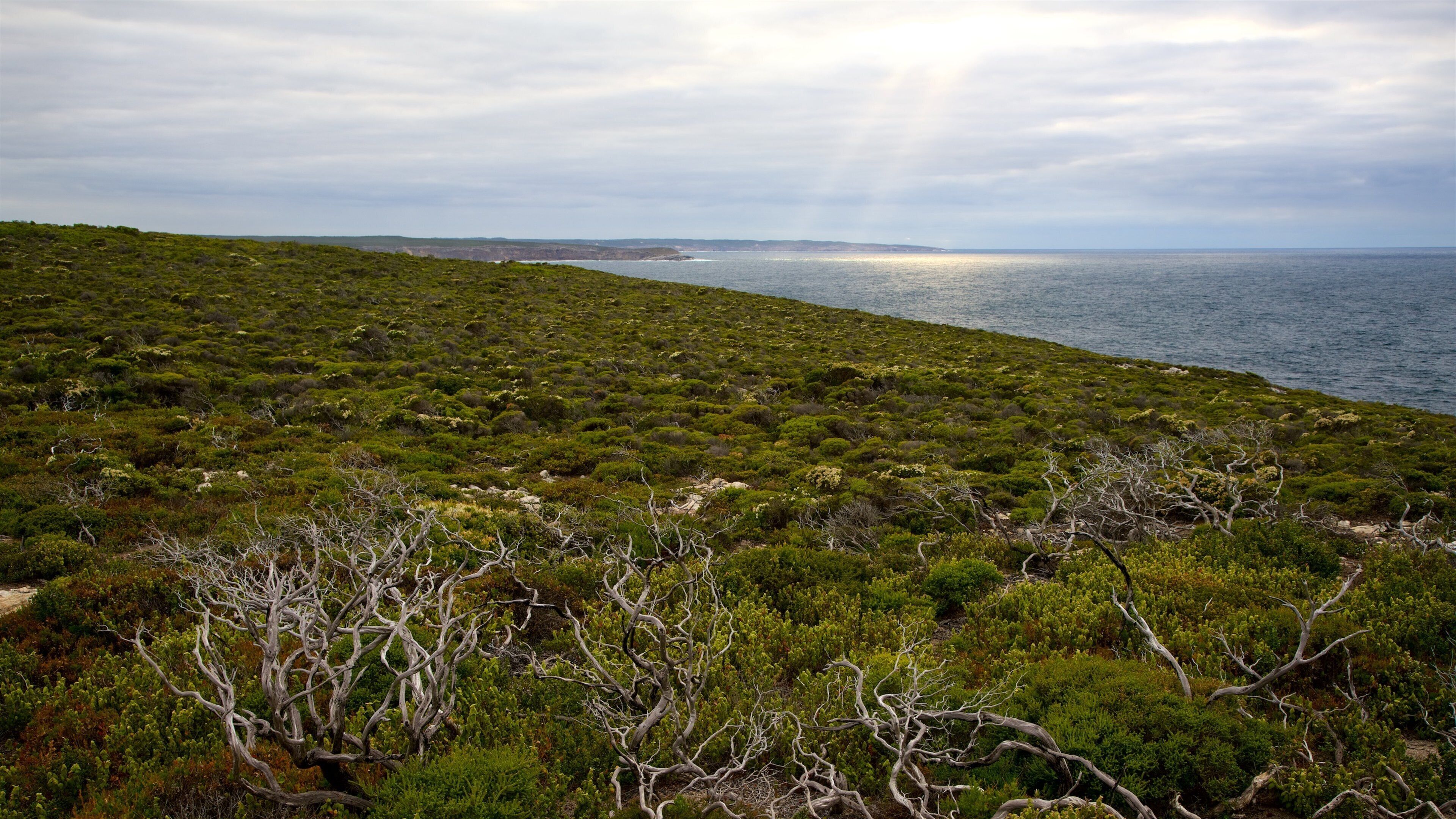 Flinders Chase Nationalpark som viser udsigt over kystområde