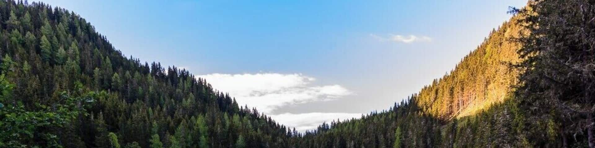 a view on the Auerlingsee in the morning