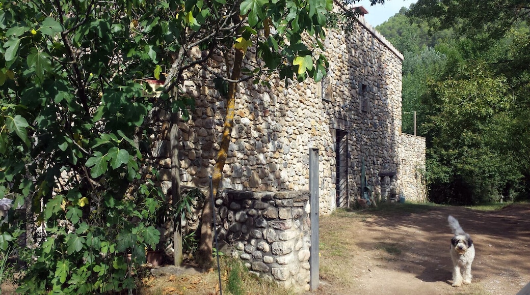 Molí de Can Cadamont (Sant Llorenç de la Muga)