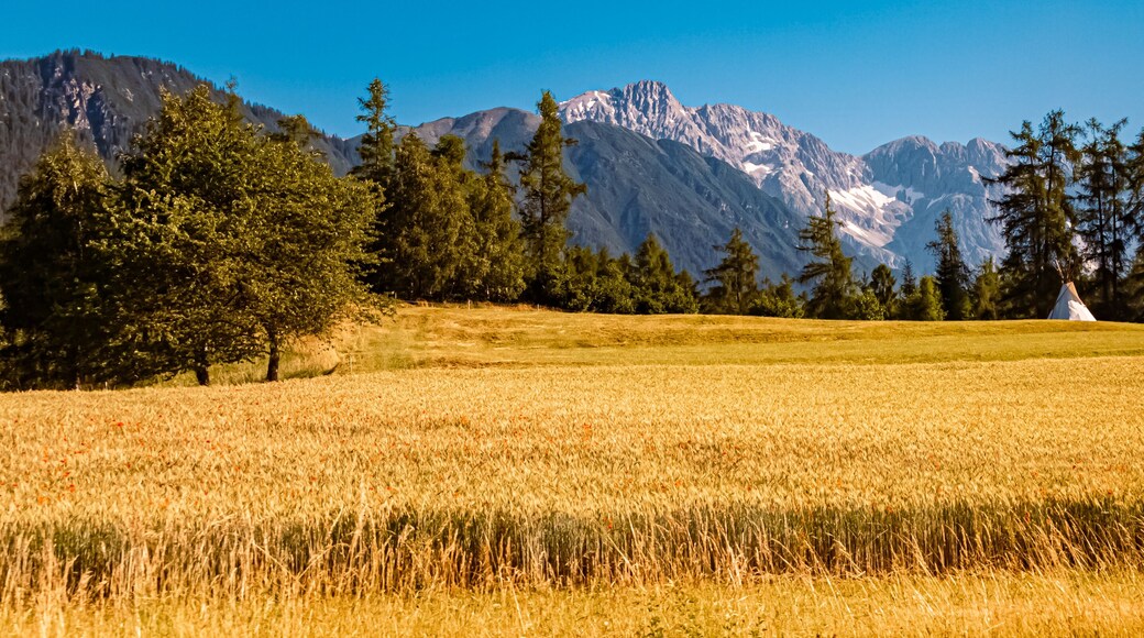 Alpine summer view near Obsteig, Imst, Tyrol, Austria