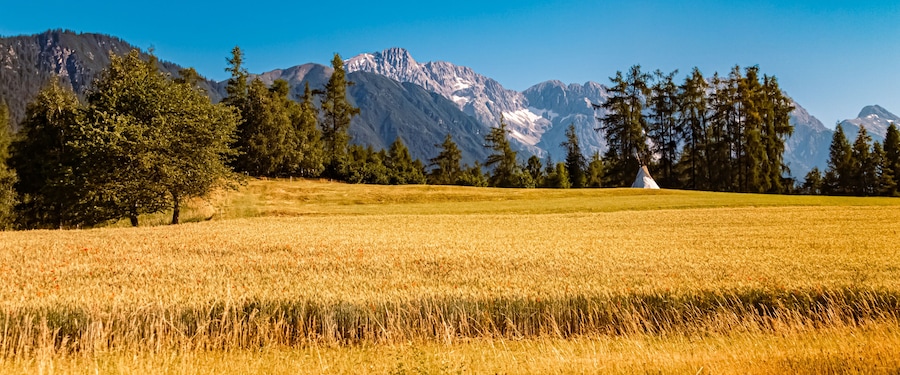 Alpine summer view near Obsteig, Imst, Tyrol, Austria