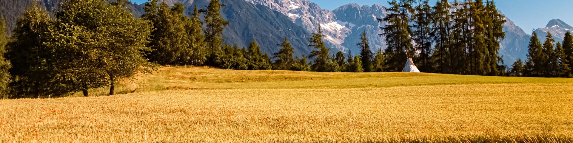 Alpine summer view near Obsteig, Imst, Tyrol, Austria