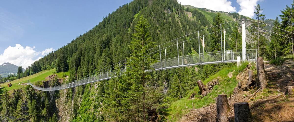 A suspension bridge over a forested valley with a mountain in the background.