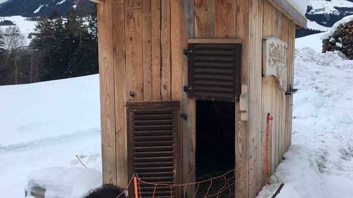 Nice guesthouse with a farm