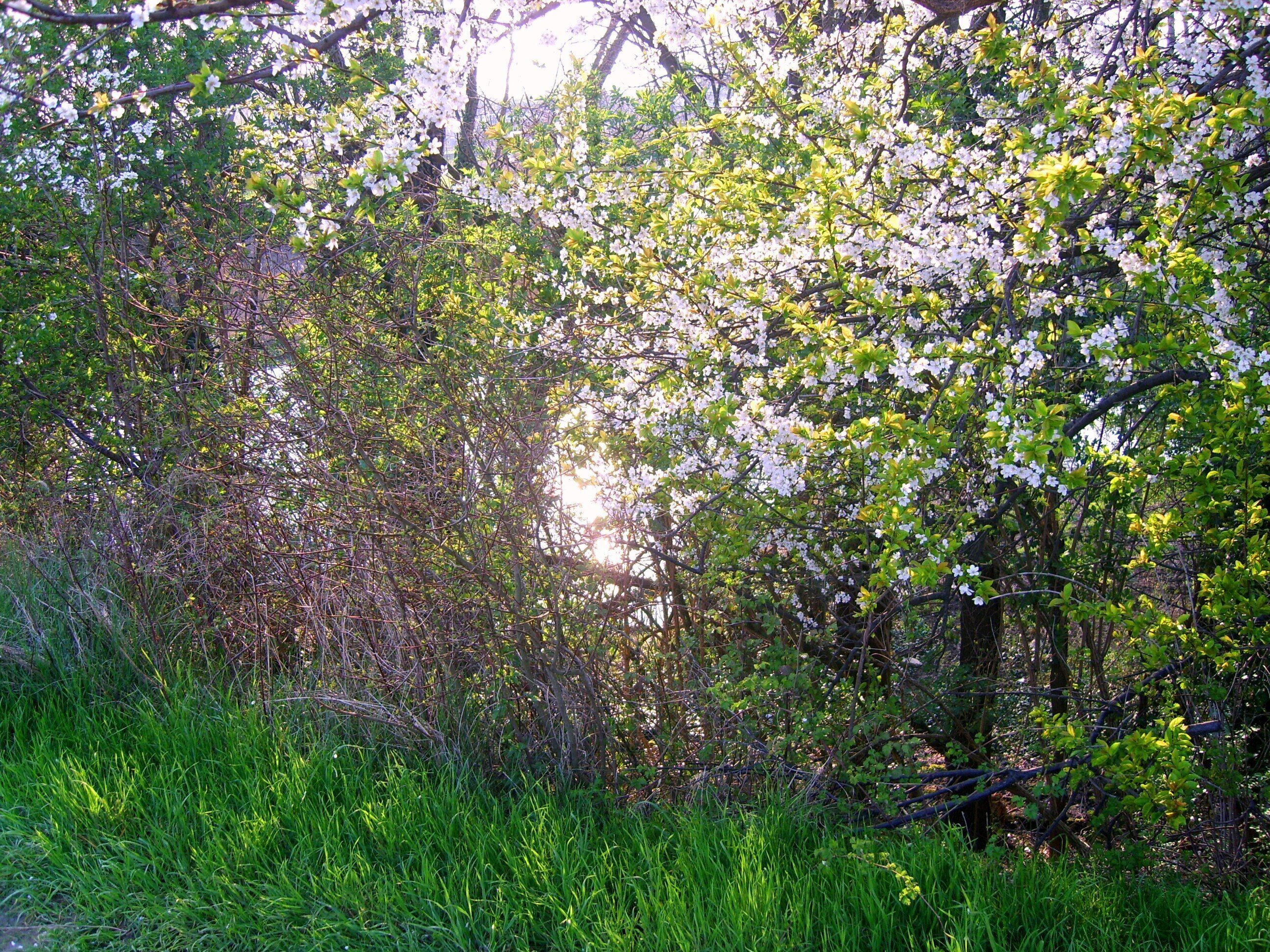 Panoramata primaverile