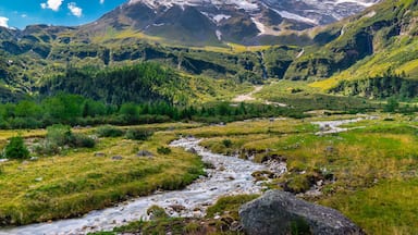 Eine Berglandschaft mit einem Fluss, der durch ein Tal fließt, umgeben von üppiger Vegetation und schneebedeckten Gipfeln.
