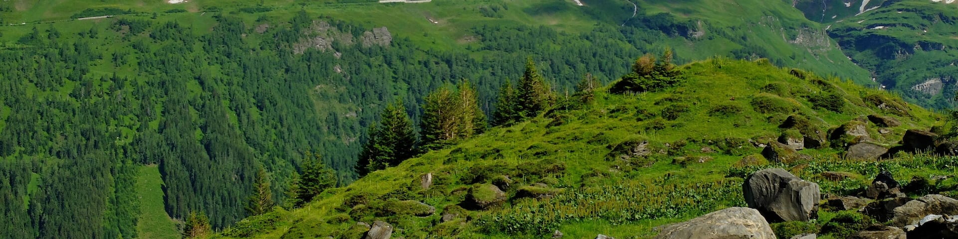 Grossglockner High Alpine Road