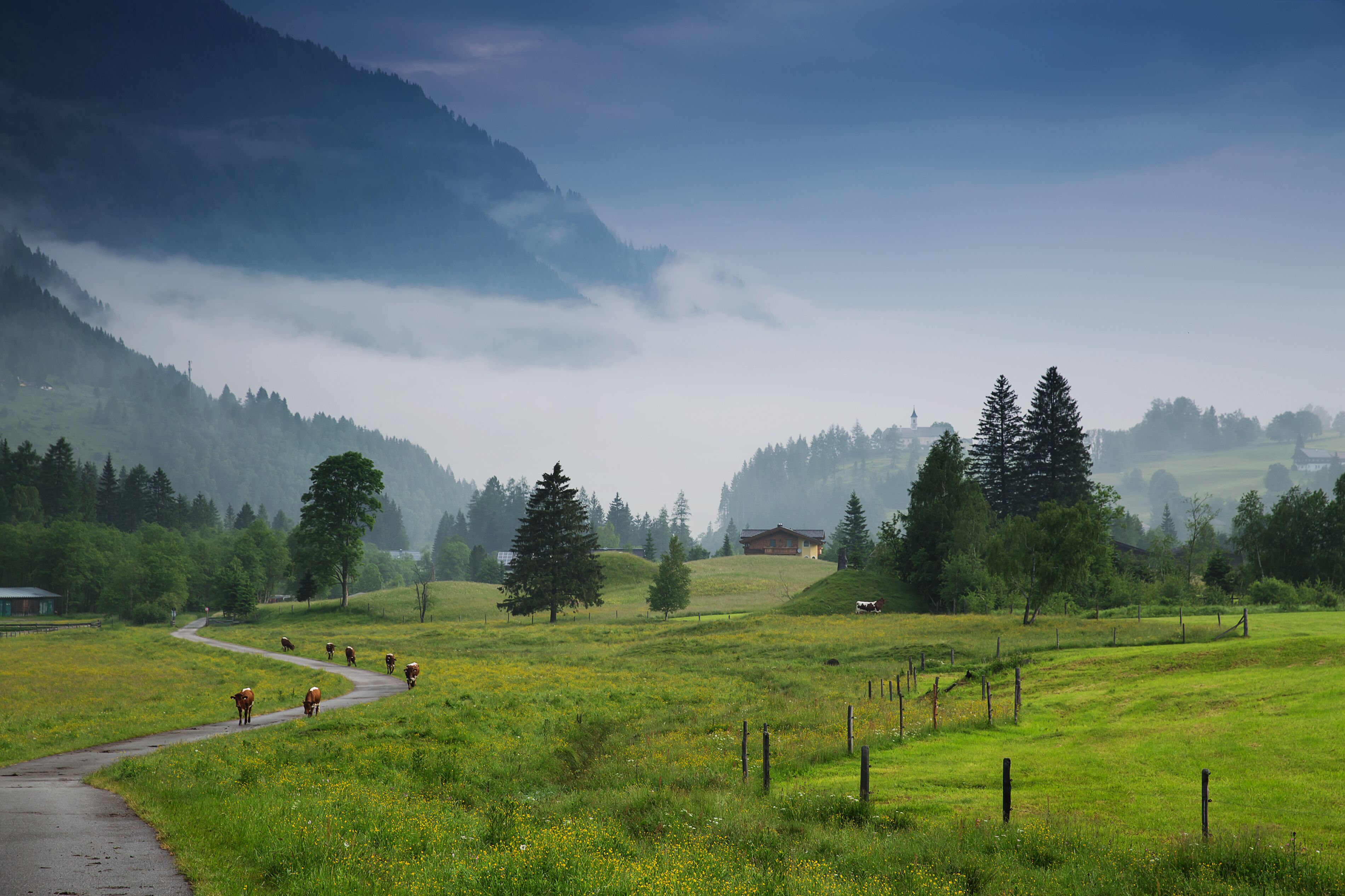 Morning in the Alps, Austria, Rauris. Nature landscape