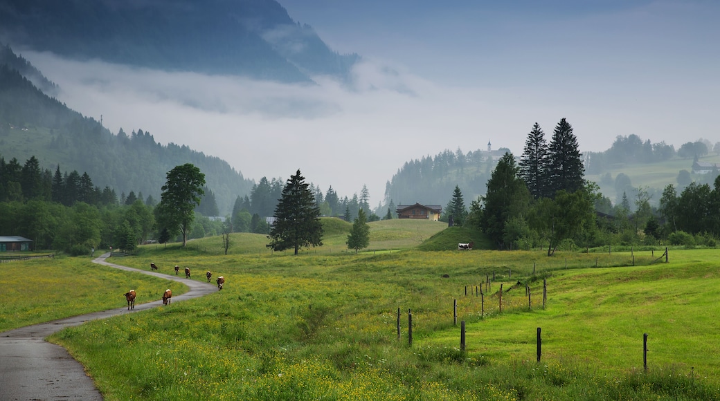 Morning in the Alps, Austria, Rauris. Nature landscape