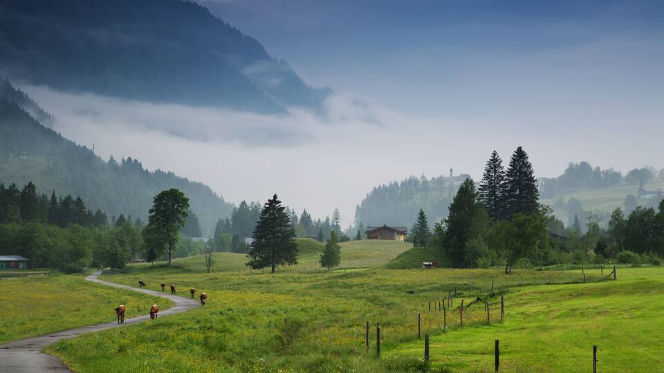 A winding road through a green field with cows, a house, and a mountain in the background.