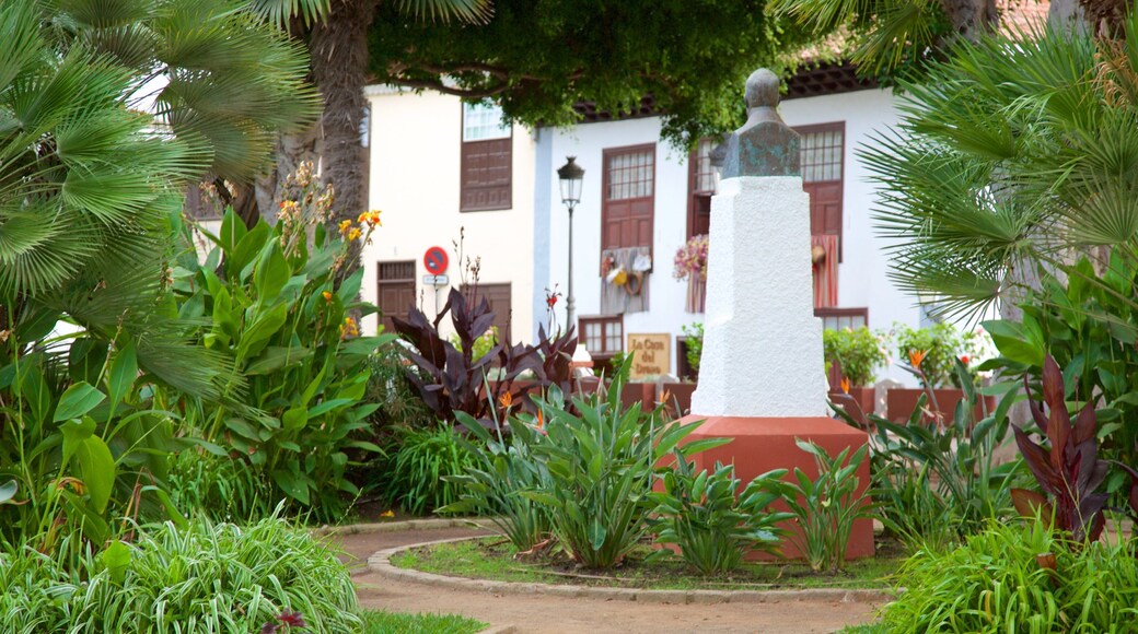 Icod de los Vinos som omfatter en have